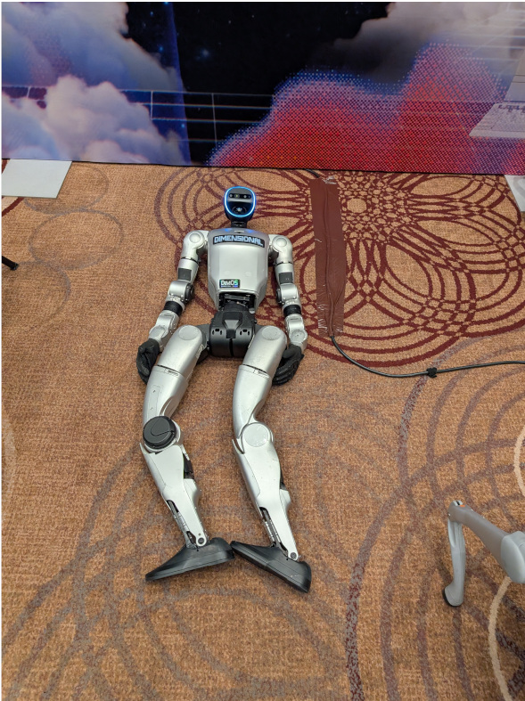 image not found!